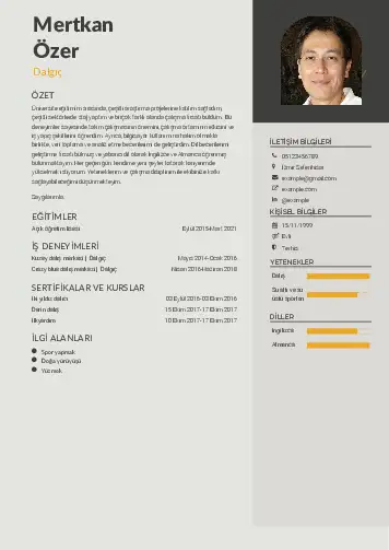 Dalgıç CV Örnekleri cv indir